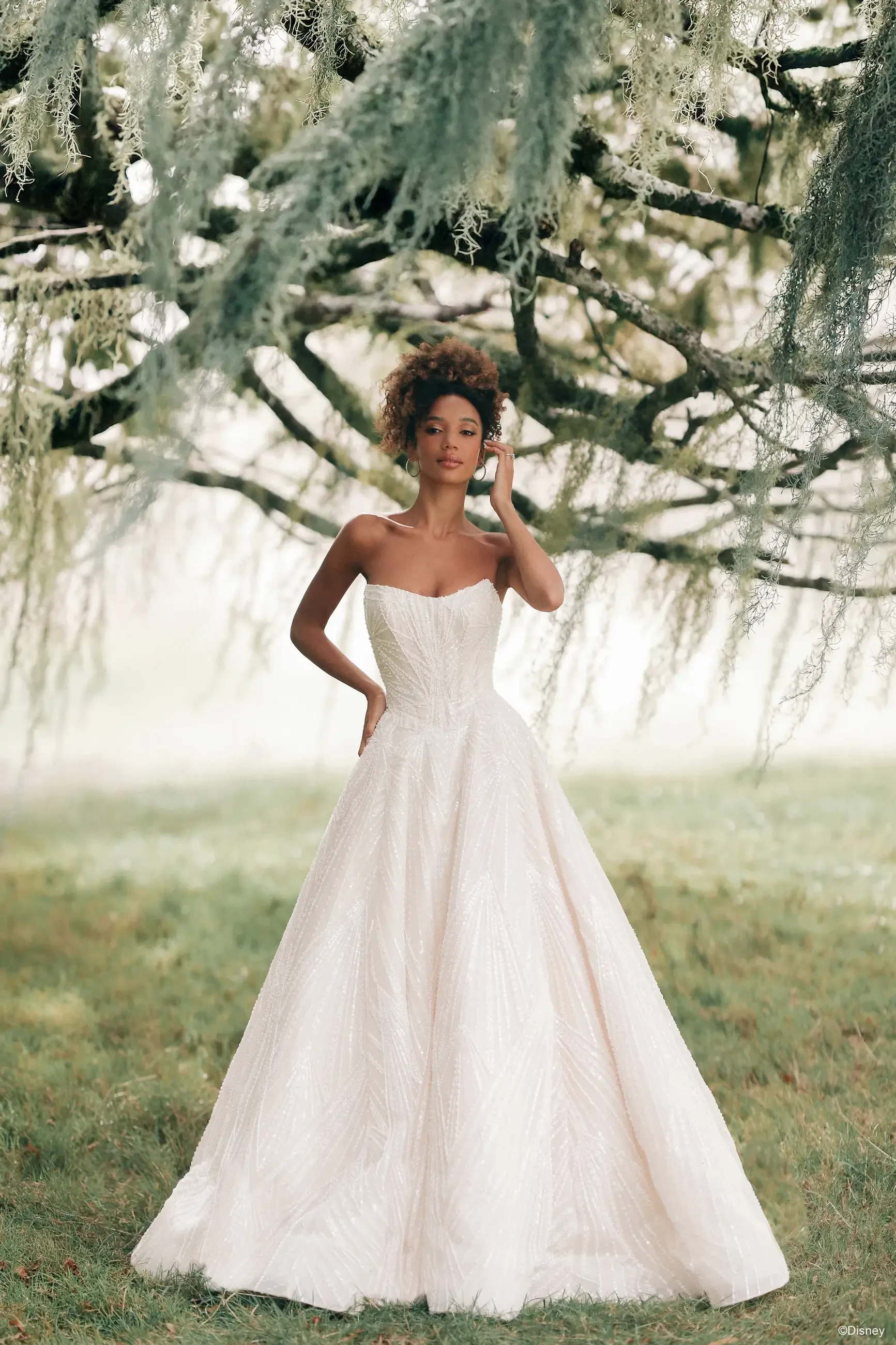 Clean &amp; Classic Wedding Dresses for Modern Brides Image