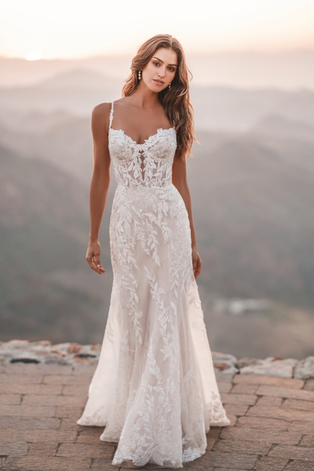 Plus Size Wedding Dresses Las Vegas, NV 89120 | Bowties Bridal