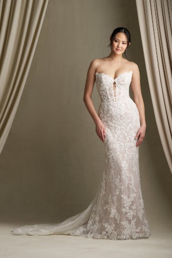 Allure Bridals #C801 AB #0 default thumbnail
