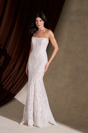 Allure Bridals #C841 AB #0 default thumbnail